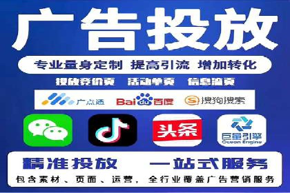 网络推广与竞价优化成功案例